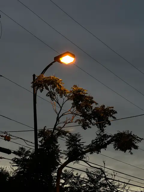 Warm light, cool evening vibes.